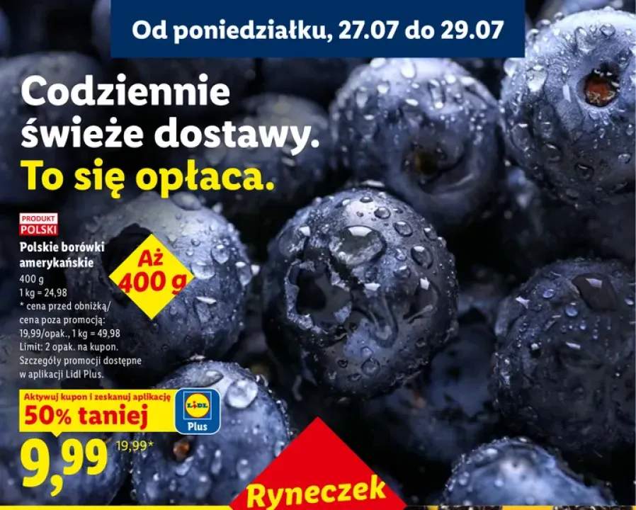 Borówki amerykańskie polskie