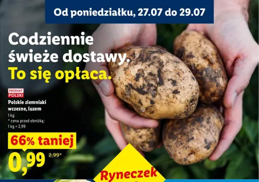Ziemniaki wczesne polskie