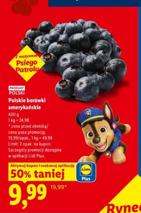 Borówki amerykańskie Ryneczek Lidla polskie