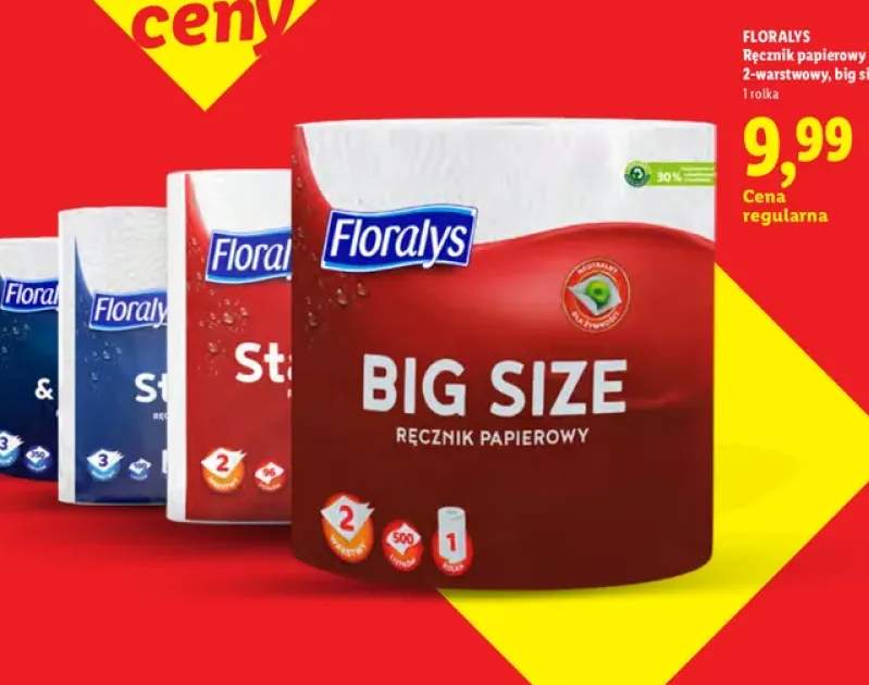 Ręcznik papierowy Floralys 2-warstwowy Big Size