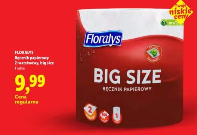 Ręcznik papierowy Floralys 2-warstwowy big size