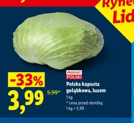 Kapusta polska gołąbkowa