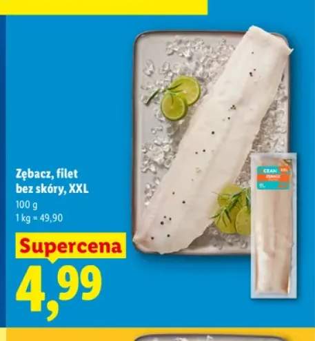 Zębacz filet bez skóry XXL