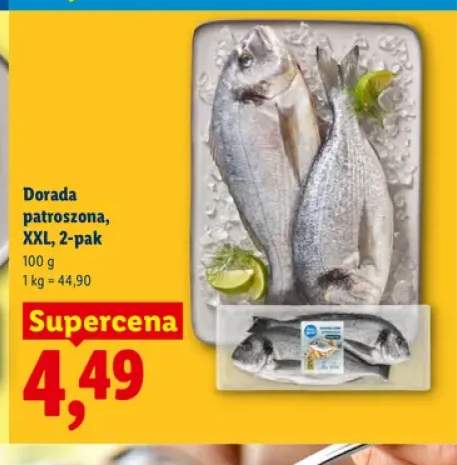 Dorada patroszona XXL 2-pak
