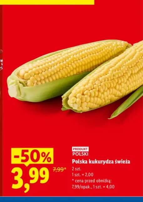 Kukurydza polska świeża
