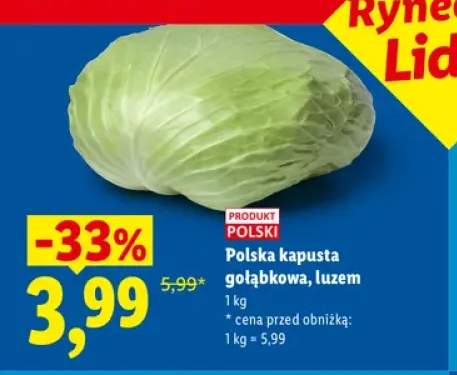 Kapusta gołąbkowa polska
