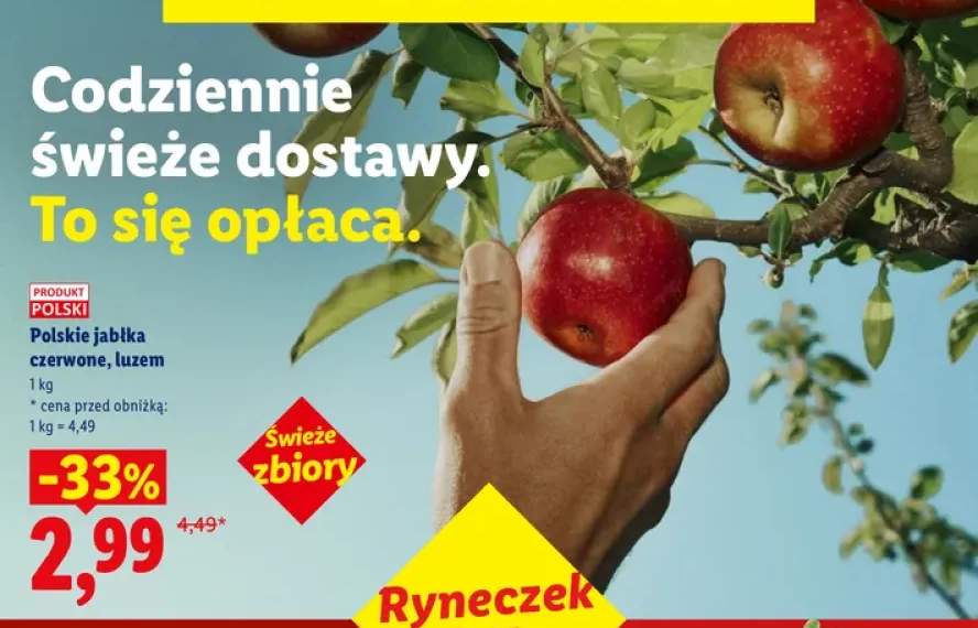 Polskie jabłka czerwone
