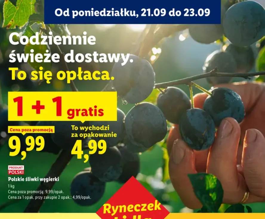 Śliwki węgierki polskie