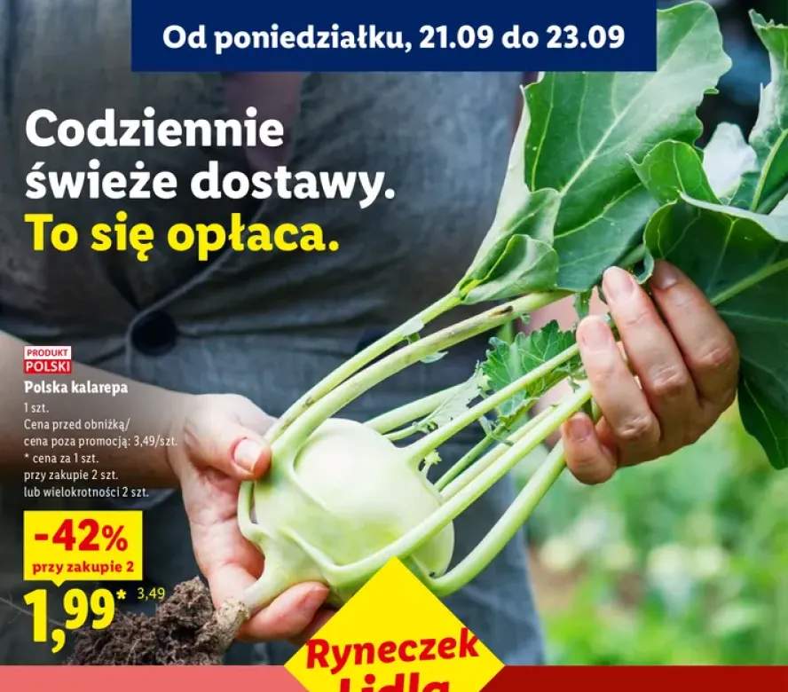 Kalarepa polska