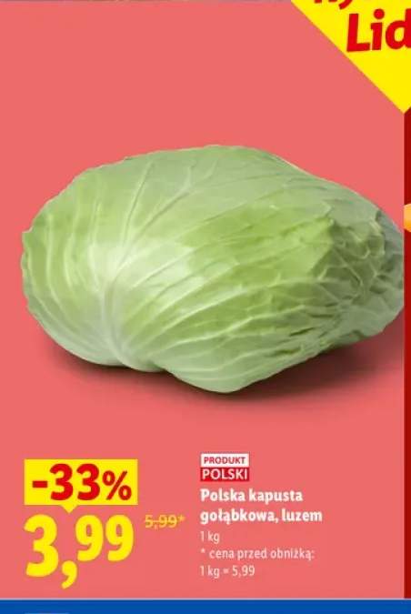 Kapusta gołąbkowa polska