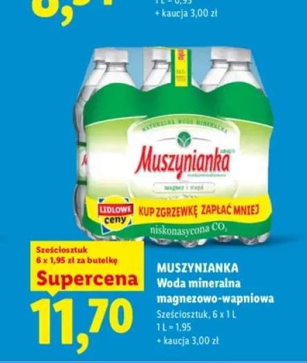 Woda mineralna gazowana magnezowo-wapniowa Muszynianka 6-pak