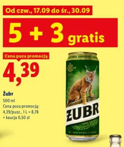 Piwo Żubr