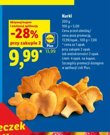 Kurki