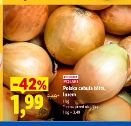 Polska cebula żółta luzem