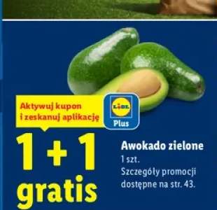 Awokado zielone
