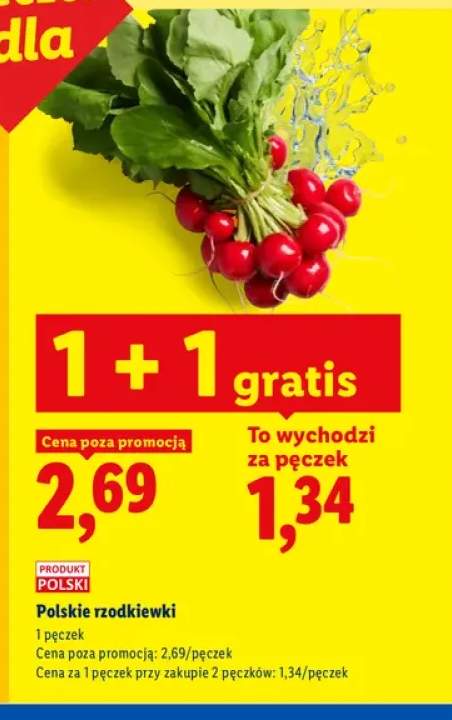 Rzodkiewki polskie Ryneczek Lidla