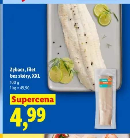 Zębacz filet bez skóry XXL