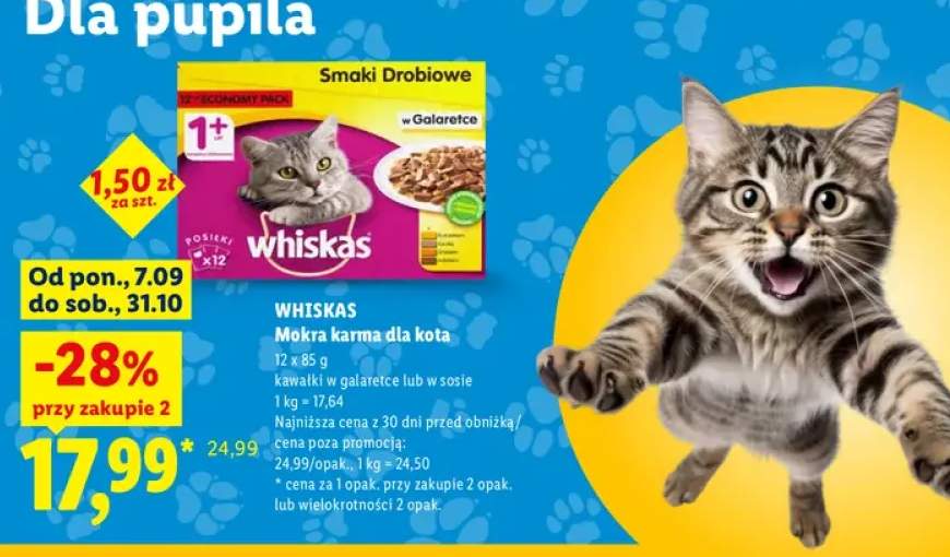 Mokra karma dla kota kawałki w galaretce Whiskas 12-pak +1 wariant