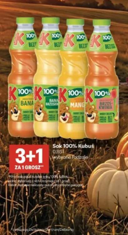 sok Kubuś