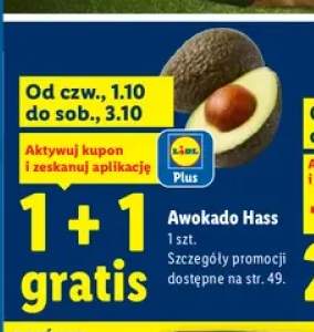 Awokado Hass