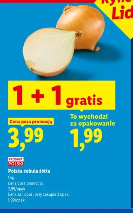 Cebula żółta polska
