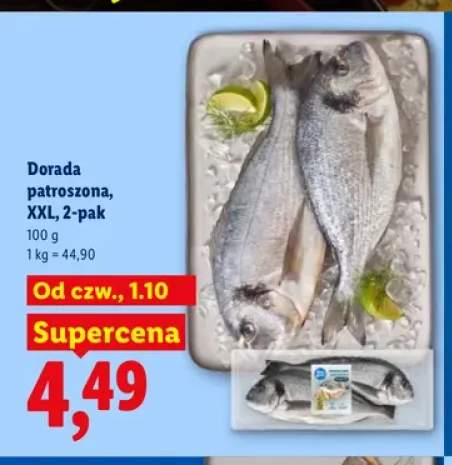 Dorada patroszona XXL 2-pak