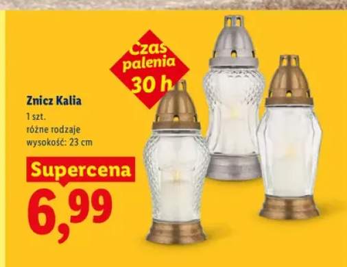 Znicz Kalia