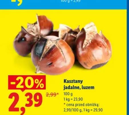 Kasztany jadalne Ryneczek Lidla