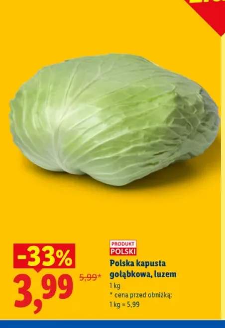 Polska kapusta gołąbkowa luzem
