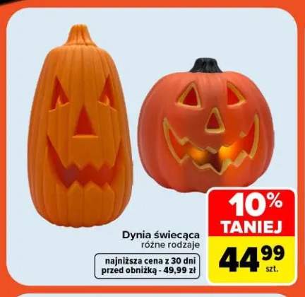 dynia