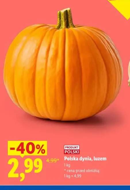 Dynia polska luzem