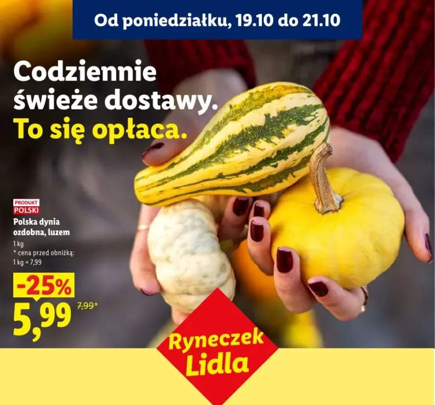 Dynia ozdobna polska Ryneczek Lidla