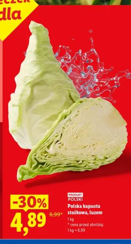 Kapusta stożkowa polska