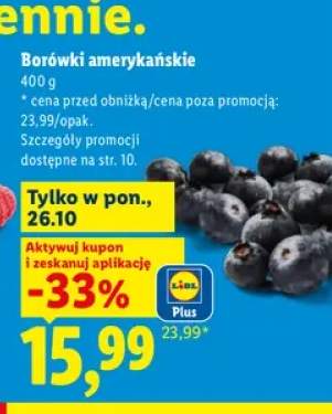 Borówki amerykańskie