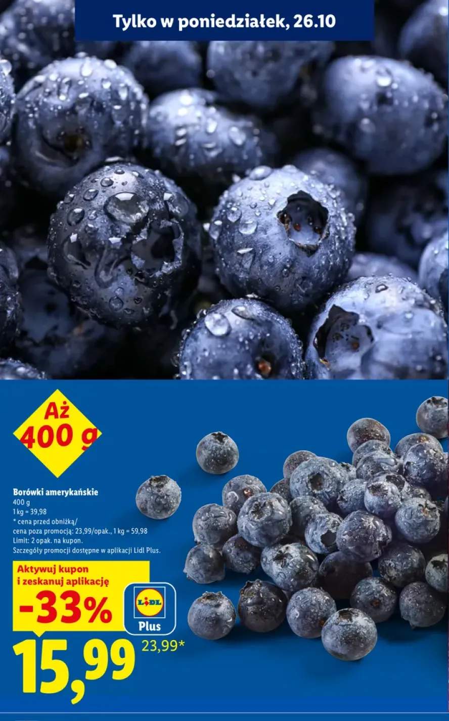 Borówki amerykańskie