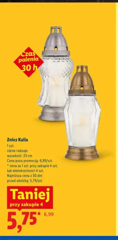 Znicz Kalia