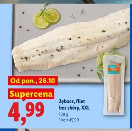 Zębacz filet bez skóry XXL