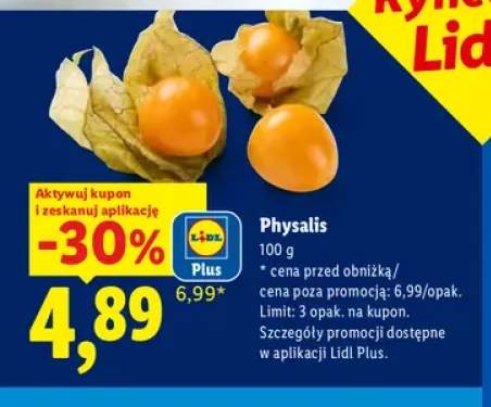 Physalis