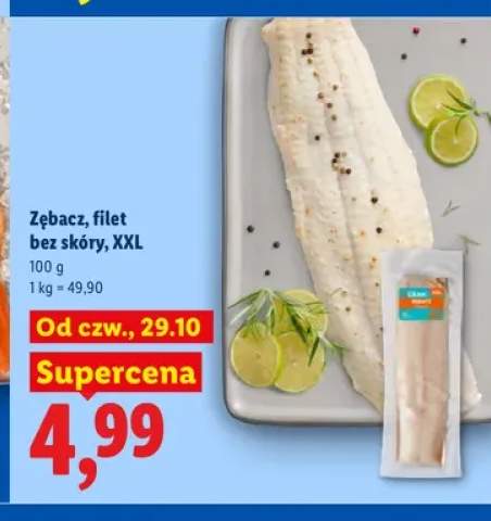 Zębacz filet bez skóry XXL