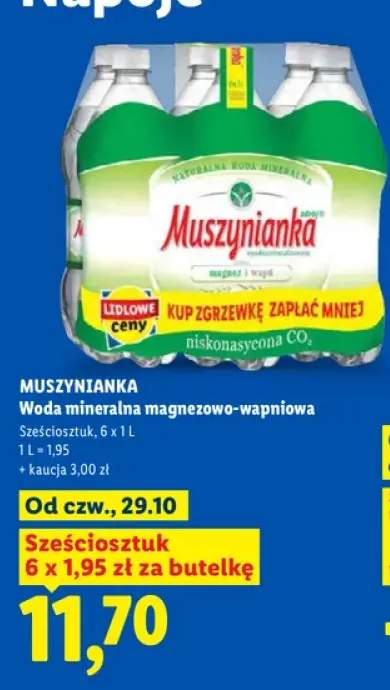 Woda mineralna gazowana magnezowo-wapniowa Muszynianka 6-pak 1 l