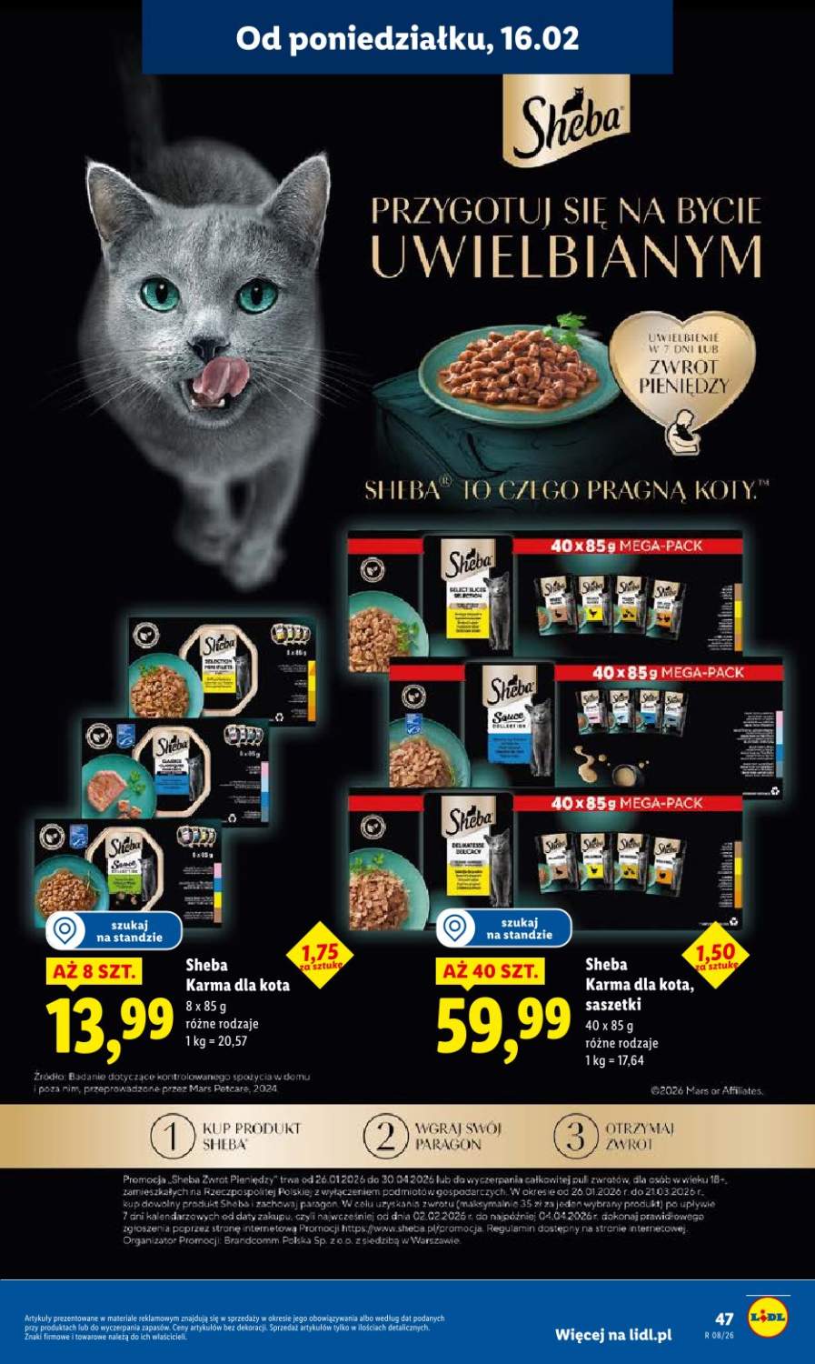 Gazetka – strona 47