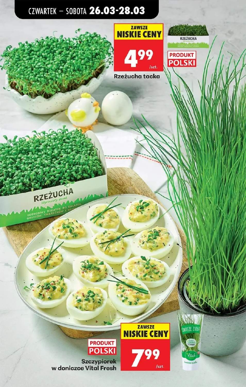 Okładka gazetki