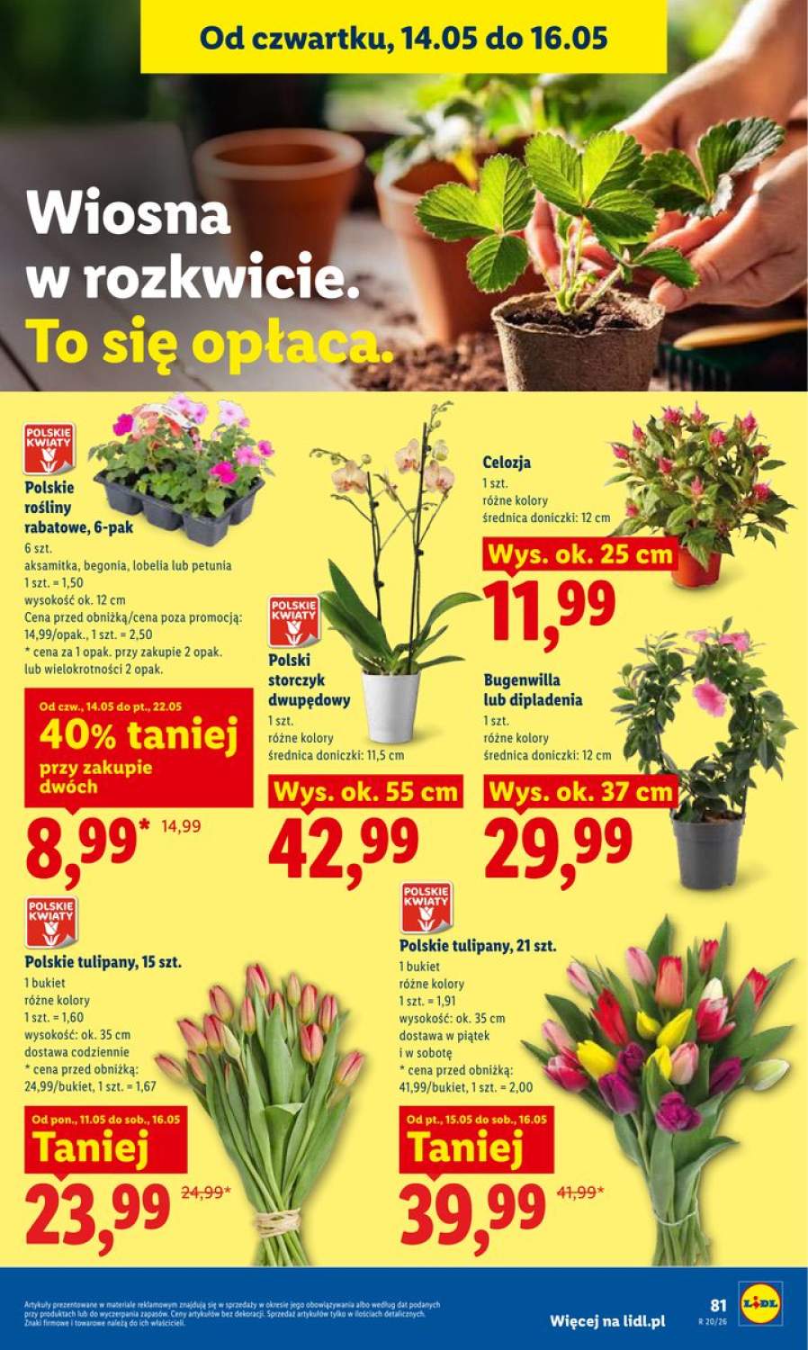 Gazetka – strona 87
