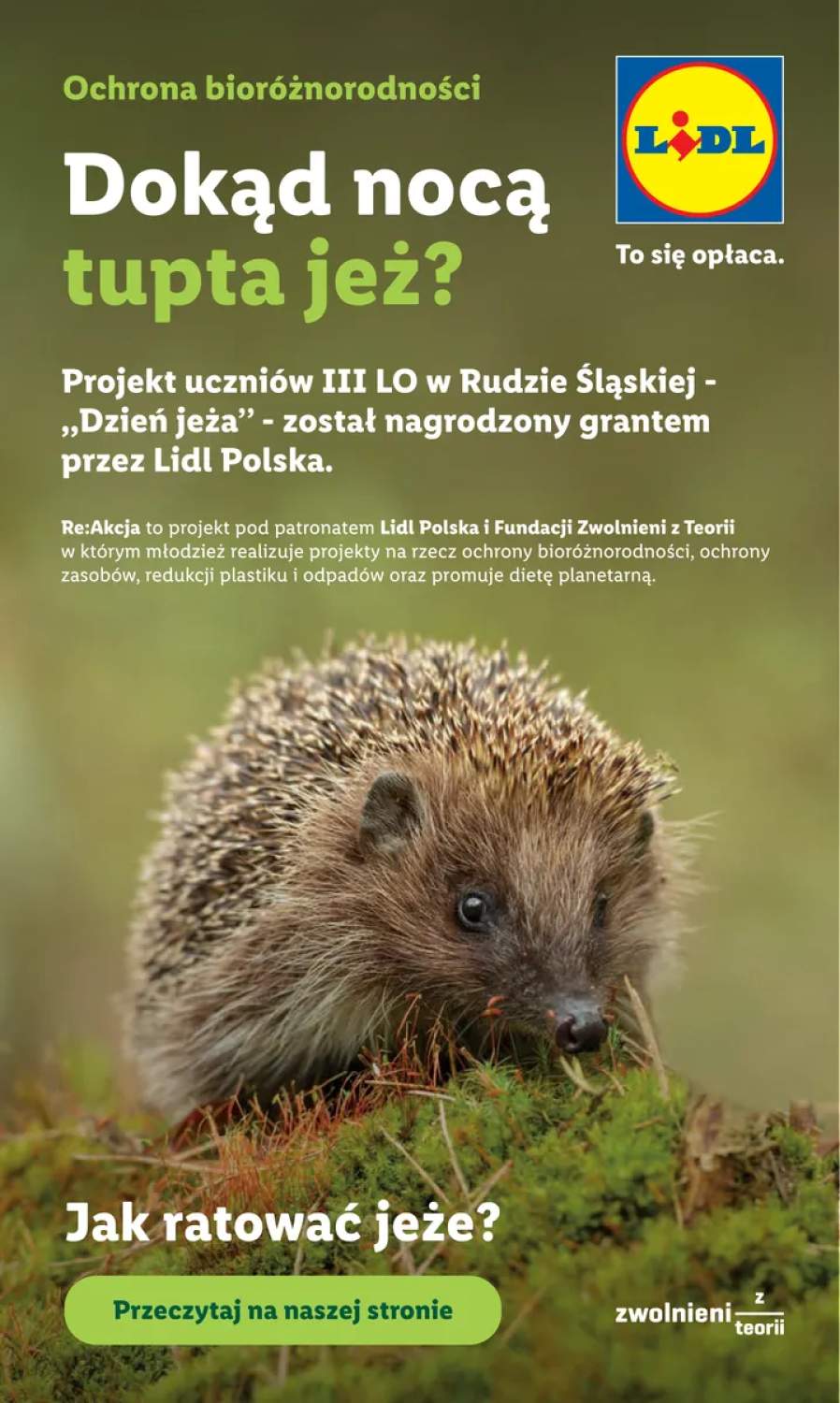 Gazetka – strona 101