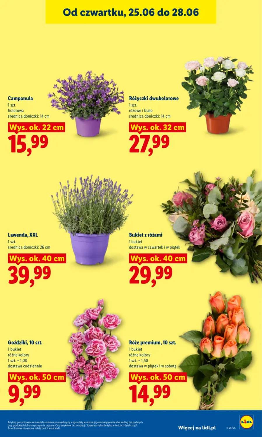Gazetka – strona 41