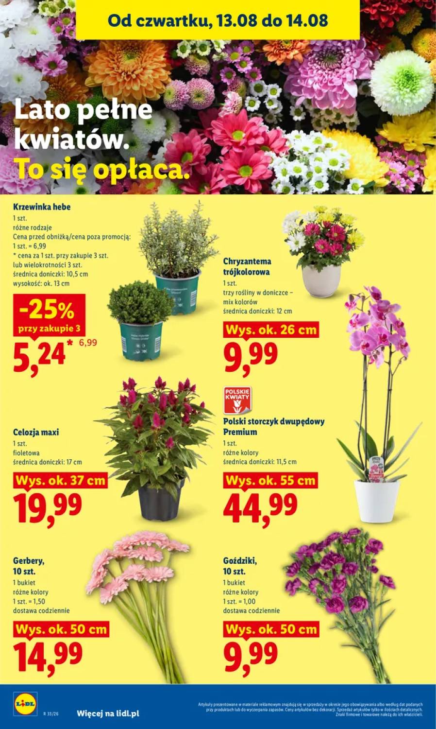 Gazetka – strona 86