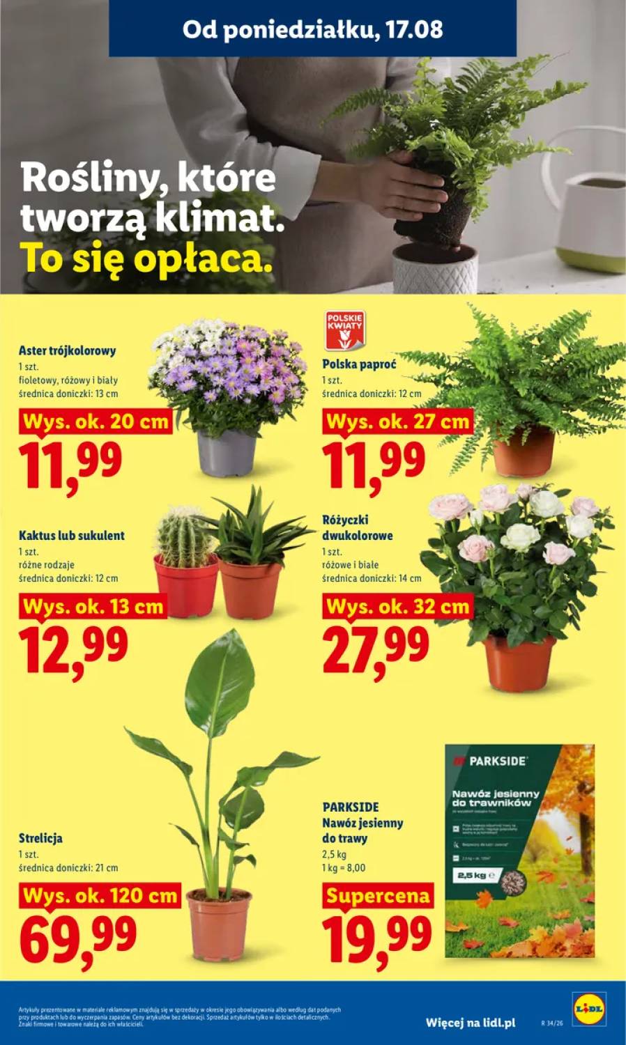 Gazetka – strona 77