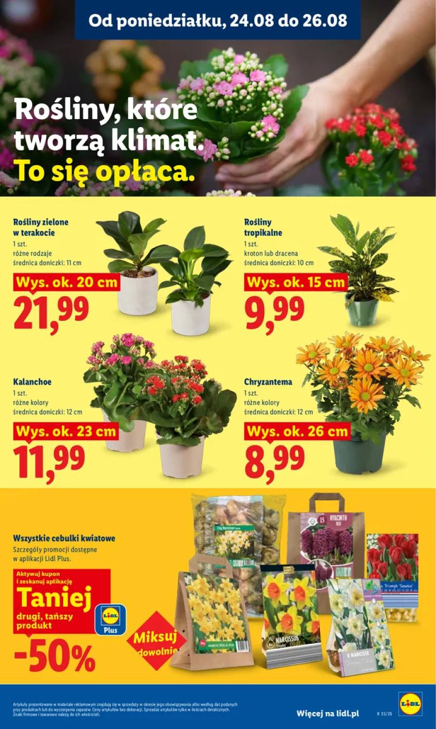 Gazetka – strona 85