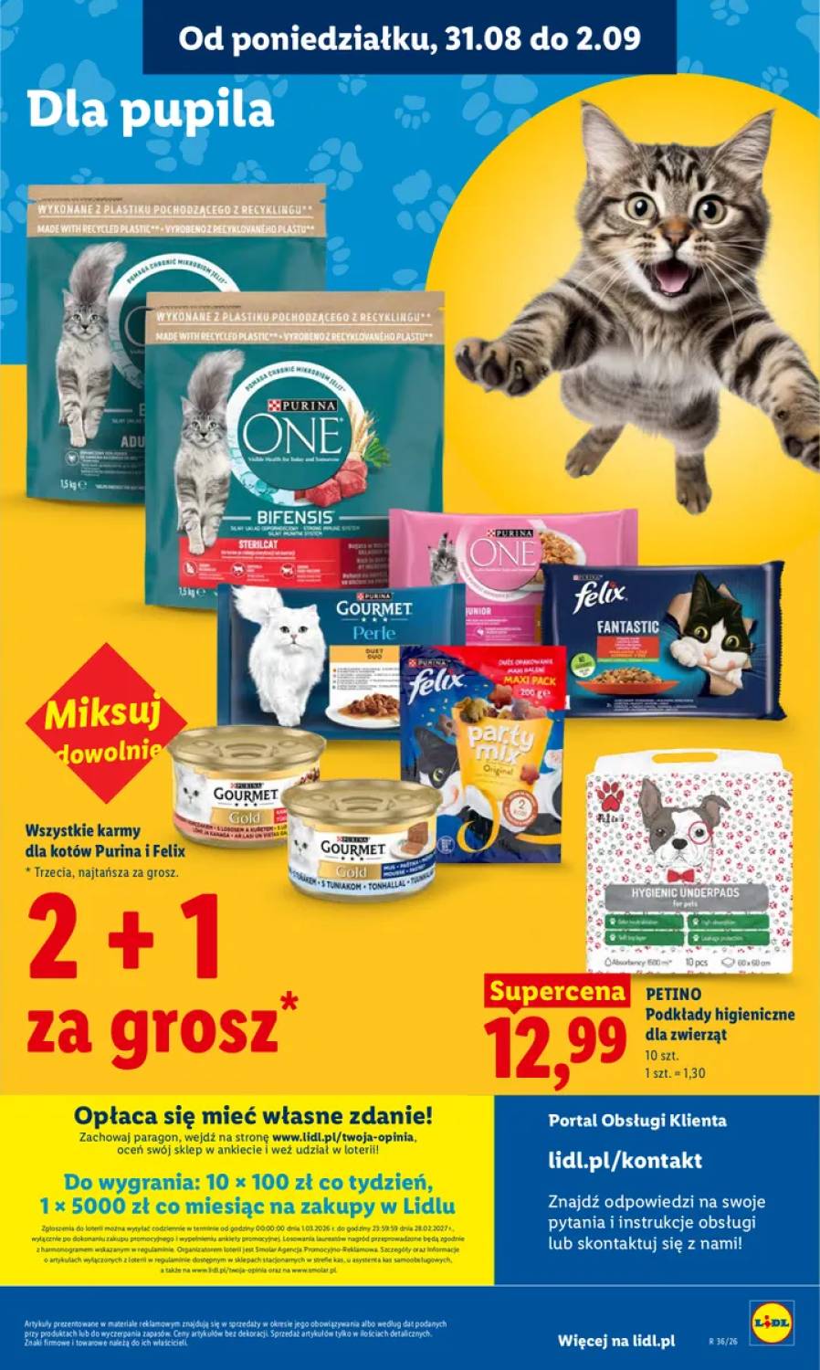 Gazetka – strona 85