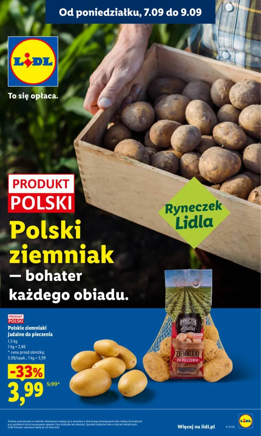 Gazetka – strona 31